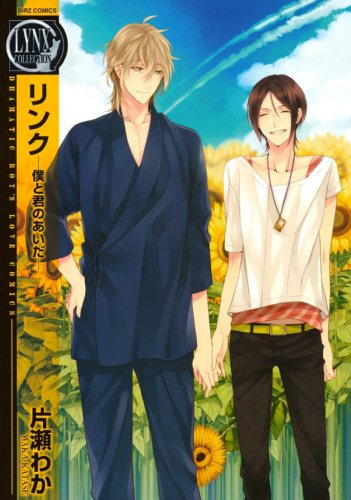 『リンク～僕と君のあいだ～』