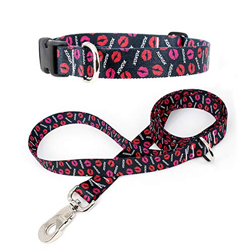 Tolt Supply Love and Kisses Dog Collar & Leash Set - Military Grade Rustproof Buckle, Extra Heavy Duty Quick Clasp - Made in The USA