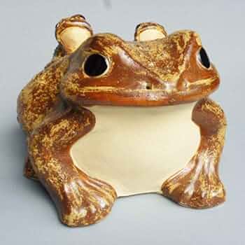 51rSgz-DMtL._AC_UF350,