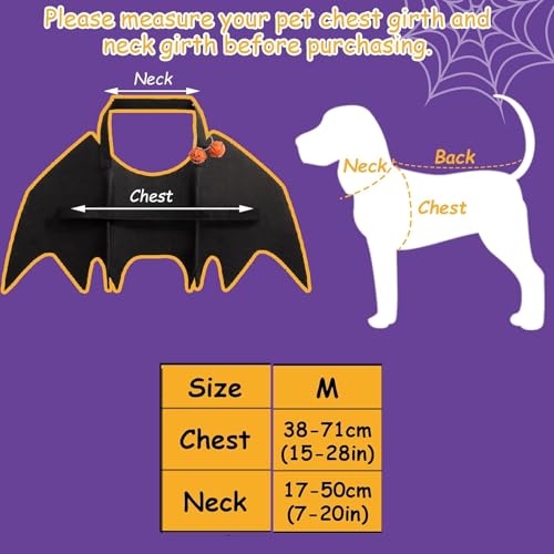 Haustier Fledermausflügel,Hund Fledermaus Kostüme mit 2Pcs Pumpkin Bell,Katze Fledermaus Kostüm,Halloween Katze Kleidung,Halloween Haustier Kostüm,Haustiere Cosplay-Kostüm(Schwarz)
