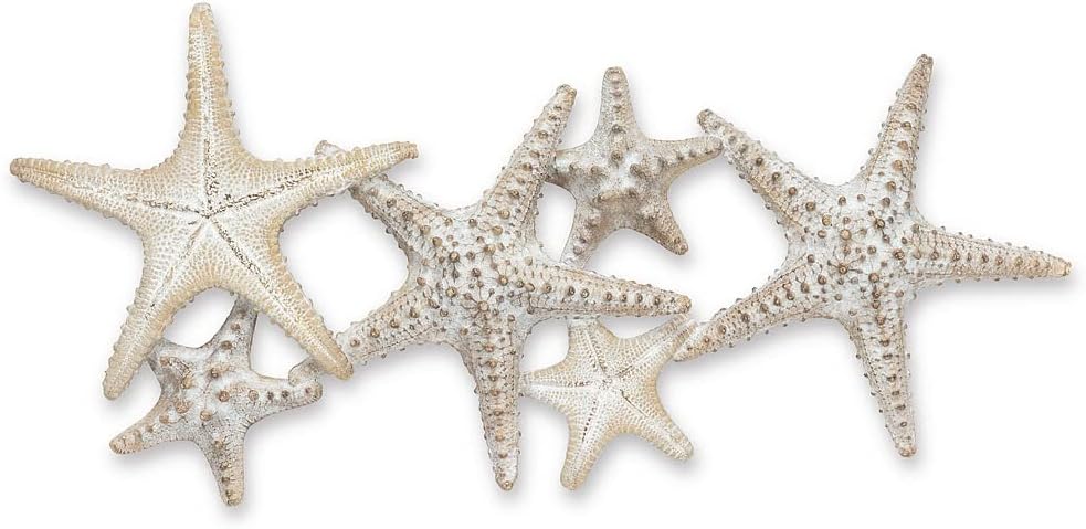 Abbott Collection Starfish Family Wall Decor - Resin (23" L)