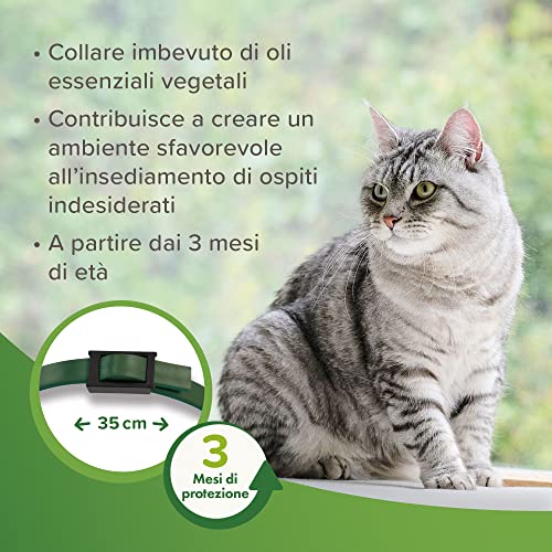 Beaphar Natürlicher Schutz, verstellbares Katzenhalsband mit Neemöl, bis zu 3 Monate, 35 cm