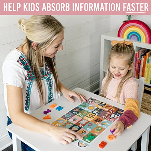 Hadley Designs Educational ABC Posters for Classroom Wall Decor - Preschool Learning Posters for Toddlers 1-3, Shapes Color 1-100 Number Chart & Alphabet Poster, Daycare Playroom Homeschool Essentials — view 6