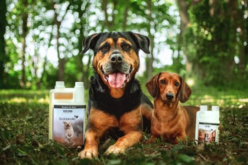 TJURE Teufelskralle Liquid für Hunde | 1000 ml | Ergänzungsfuttermittel mit Teufelskralle | Zur Unterstützung der normalen Beweglichkeit | Pflanzliche Rezeptur | Made in Germany | Ohne Zusatzstoffe