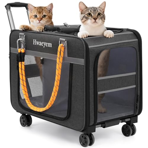 Extra Large Dual-Compartment Cat Carrier