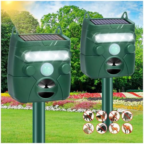 Beautiful view of Flea Repellent For Outdoor Cats