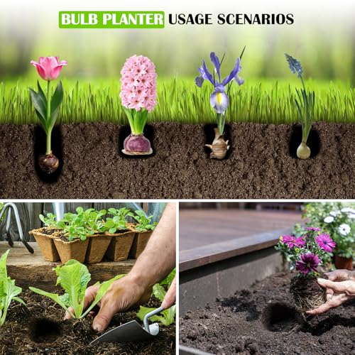 JYI&FORGE Herramienta para plantar bulbos 34 pulgadas miniatura 6