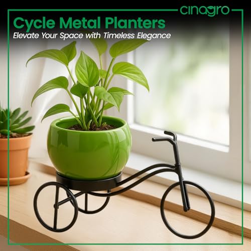 Image of CINAGRO Cycle-Shaped Metal Plant Stand for Indoor & Outdoor Use, Metal Cycle Flower Vase, Decorative Iron Planter Pot Holder for Flowers & Ornaments (24 x 11 x 11cm) Style: Urban Pedal, Big