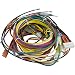 Pentair 42001-0104S Heater Wiring Harness Replacement Pool and Spa Heater Electrical Systems