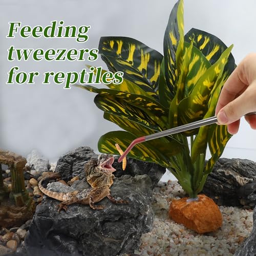 Image of Stainless Steel Reptile Feeding Tongs, Curved Aquarium Tweezers with Rubber Tip, Terrarium Tongs for Gecko, Lizard & More, 10.63 inch Length, Red