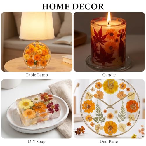 Image of NESCCI 350 Pcs Orange Fall Dried Flowers for Crafts,Real Nature Dried Flowers for Craft Bulk Dry Flowers Leaves Kit Used for Resin Molds Scrapbooking DIY Art Crafts Candle Soap Making Nails Decor