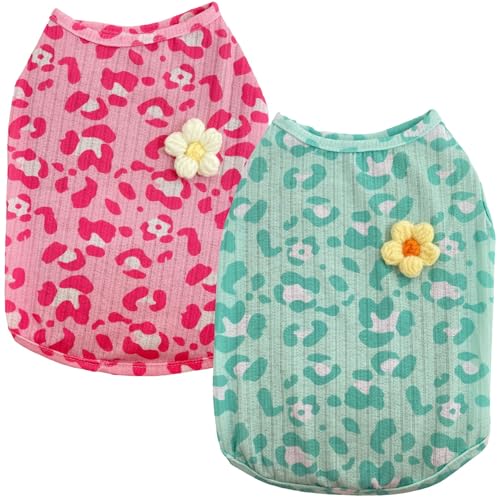 ^ ^  ybg  T Vc ̎q j̎q  \tg C