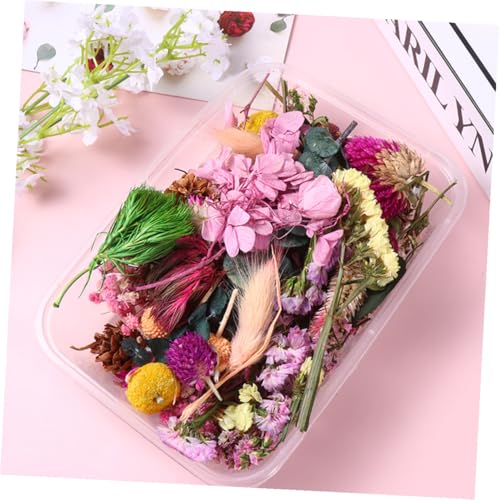 6 cajas flores secas naturales para decoración y manualidades miniatura 4