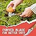 Gather Americana | Mushroom Knife With Brush Foraging Tools Folding Harvesting Supplies For Mushroom Foraging, Picking, Hunting, Bushcraft