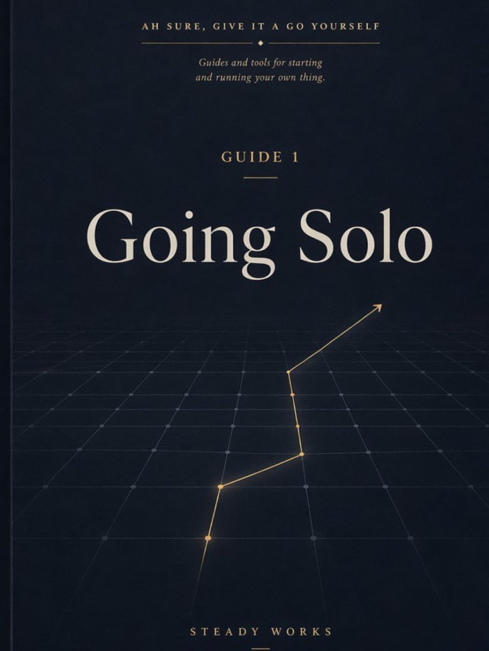 Going Solo: For people thinking about starting out on their own. (Ah Sure, Give It A Go Yourself)