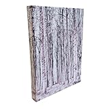 Material de lienzo: Tela de poliéster de 320 gr. Impresión ecológica: tintas de Eco-solvente. Calidad de impresión: ALTA CALIDAD fotográfica. Acabado: Barniz con protección UV, máxima durabilidad del protector. Bastidor de madera de pino: grueso de 4...