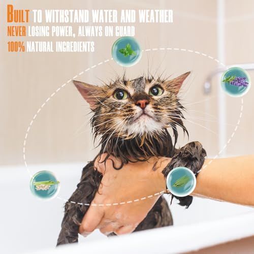 Pets4Luv Floh & Zecken Halsband für Katzen mit natürlichen ätherischen Ölen | Bis zu 8 Monate Langzeitschutz | Wasserdicht & Verstellbar (bis 48cm) | 3er Pack