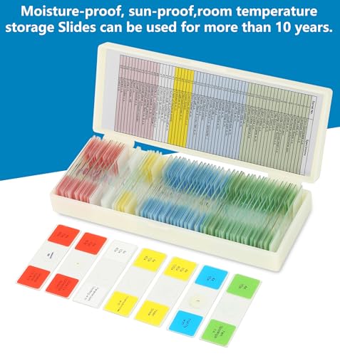 Diy-Science PS-30/60/120 Microscope Slides For Kids Ages 8+ thumb #3