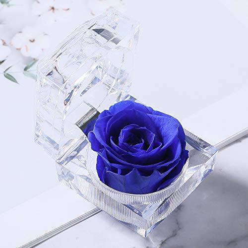 Forever Rose in Acrylic Crystal Ring Box Handmade Real Preserved Fresh Flower Best Romantic Gift for her Mother's Day Christmas Anniversary Surprise Mom Wife NOT Silk (Blue)