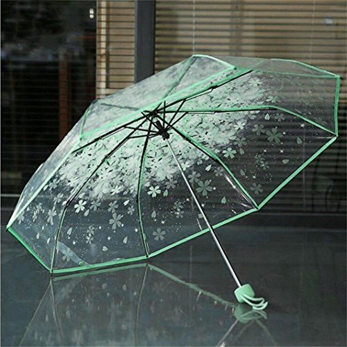 WerFamily Cherry Blossom Transparent Folding Travel Umbrella - Image 5