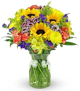 Benchmark Bouquets - Flowering Fields (Glass Vase Included) - Fresh Flowers for Delivery - Gift for Graduation, Birthday, Anniversary, Sympathy, Get Well, Congratulations