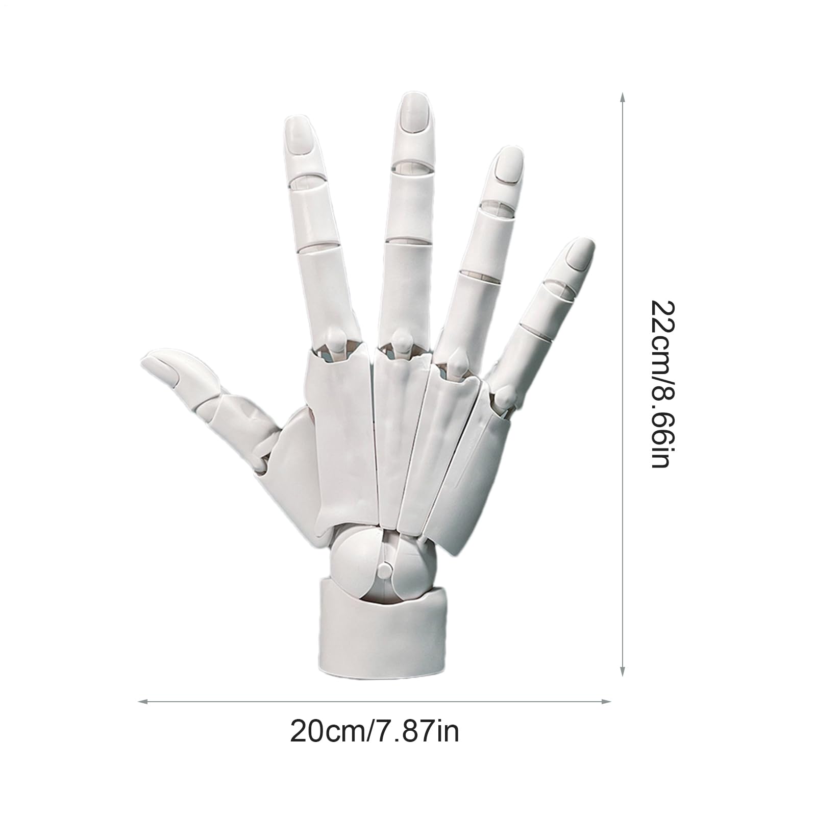 Hand Model, Flexible Hand Model, Artists Flexible Hand Model, Moveable Joints Manikin Hand Figure - Perfect for Drawing, Displaying, and Enhancing Sketching and Painting Techniques