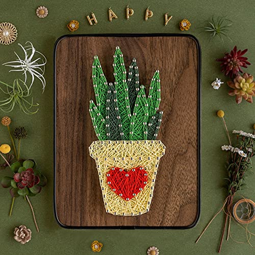 Image of BAZIMA DIY String Art Kit for Beginner, DIY Aloe Craft Kit,Unique Gift,Craft Kit for Holidays