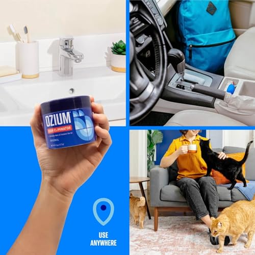 Image of Ozium 4.5 Oz. Odor Eliminating Gel for Homes, Cars, Offices and More, Outdoor Essence, 2 Pack