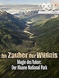  Im Zauber der Wildnis - Magie des Yukon: der Kluane National Park