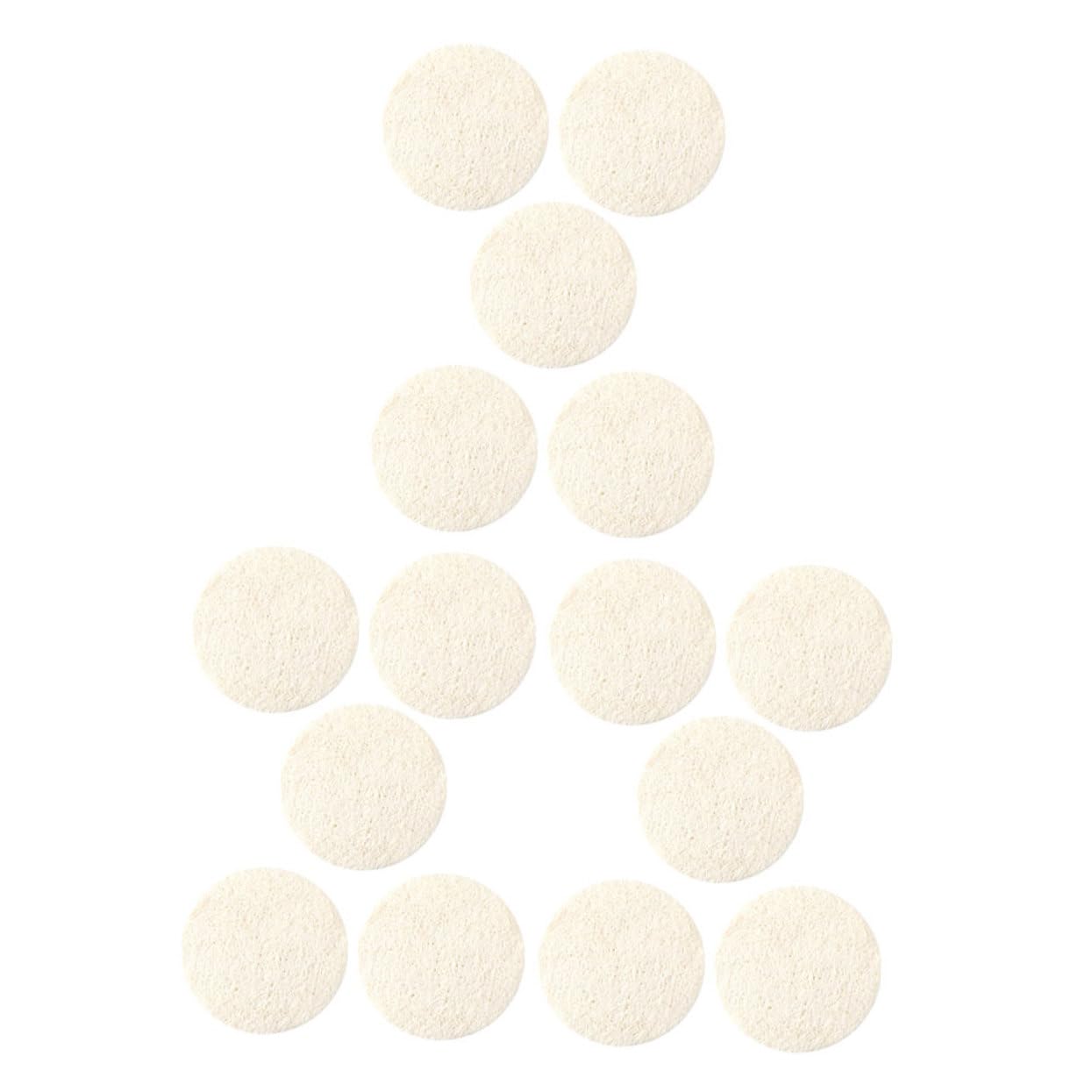 SHERCHPRY 15pcs Natural Loofah Face Exfoliating Pads for Deep Cleansing and Makeup Removal Lightweight Scrubber for Home and Travel for Skincare Routine and Oil Control