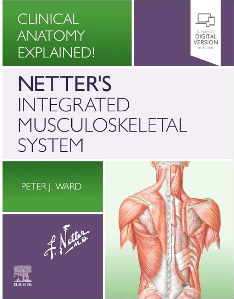 【洋書医学書2冊セット】　Netter's Sports Medicine他 洋書医学書2冊セット】 Netter's Sports Medicine他 Netter's