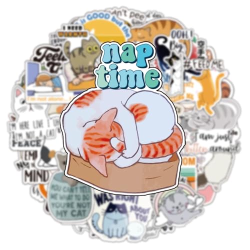 1step2dream Funny Cat Sayings Decals & Stickers