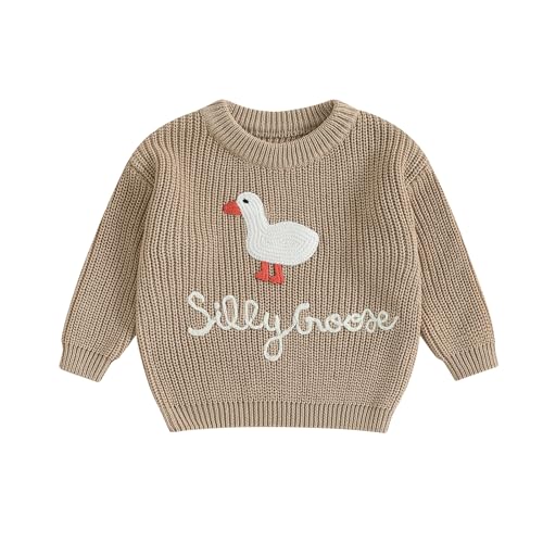 Toddler Baby Boy Girl Goose Sweater Silly Goose Embroidery Knit Sweater Crewneck Sweatshirt Fall Winter Clothes