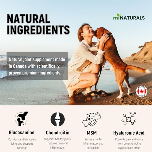miNATURALS Premium Glucosamine Joint Powder for Dogs Arthritis Pain Relief & Hip Dysplasia Support, Reduces Inflammation with Glucosamine, Chondroitin, MSM, and Hyaluronic Acid - Image 3