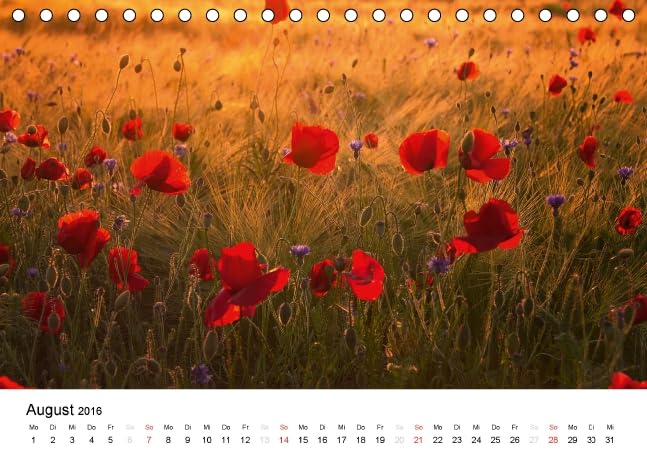 MohnZeit (Tischkalender 2016 DIN A5 quer): Landschaften voller Mohnblüten (Monatskalender, 14 Seiten ) (CALVENDO Natur)