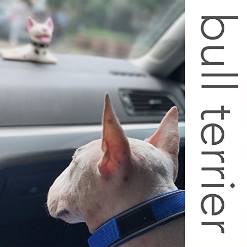 Domestar Cute Dog Door Stopper, Decorative Bull Terrier Door Stop Decorative Animal Doorstop Style Door Wedge For Home Classroom And Office Bottom Of Door Prevent #TOP4