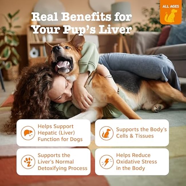 Zesty Paws Liver Support Supplement for Dogs - with Milk Thistle Extract, Turmeric Curcumin, Choline - Soft Chew Formula - for Dog Liver Function-KtErDvWA