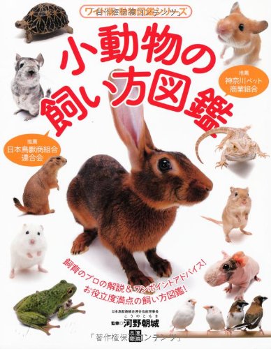 小動物の飼い方図鑑 (ワイド版・動物図鑑シリーズ) 小動物の飼い方図鑑 (ワイド版・動物図鑑シリーズ)