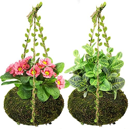 POURANON Large Home Hanging Dried Moss Ball Planter, 7.1" Dia Plant Hanger for Airplant and Succulent,2 Pack Natural Moss Hanging Ball with Jute Twine Handmade Succulent Wall Holder Home Décor