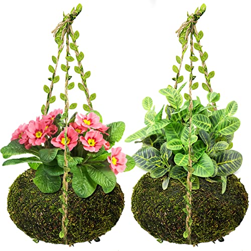 Pouranon Large Home Hanging Dried Moss Ball Planter, 7.1" Dia Plant Hanger For Airplant And Succulent,2 Pack Natural Moss Hanging Ball With Jute Twine Handmade Succulent Wall Holder Home Décor #TOP19