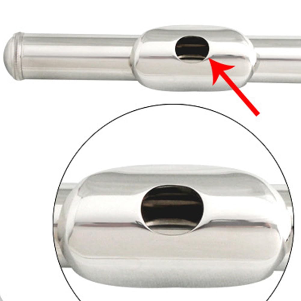 Flauta Travesera Plateada para Principiantes con Estuche Flauta de 16 Llaves en Do Instrument Estudiante