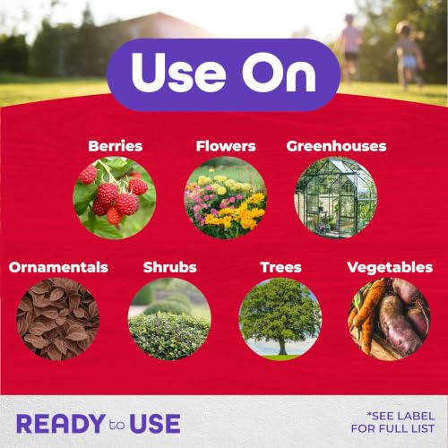 Bonide Insecticidal Soap, 32 oz Ready-to-Use Spray Multi-Purpose Insect Control for Organic Gardening Indoor and Outdoor - image 2