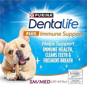 Dentalife purina plus immune support chicken apple and blueberry flavor smallmedium dog dental chews  pack of 3 19 ct Pouches   cucciolini doodles