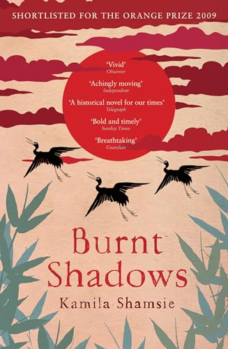 Burnt Shadows view 2