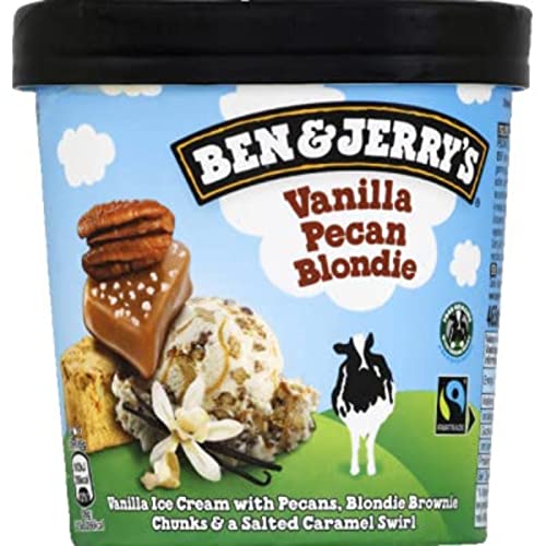 Ben & Jerry's Pot vanille pécan - Le pot de 414g