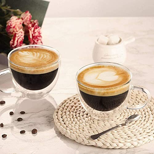 ecooe Double Wall Glass Mugs
