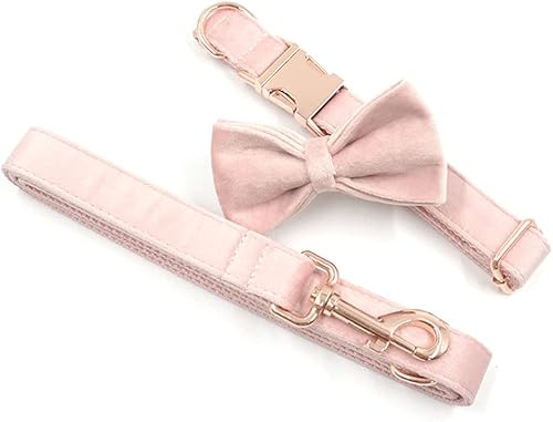 Miniatura 8 de PETDURO Collar de perro personalizado con nombre grabado con hebilla de metal de liberación rápida de oro rosa para perros hembras grandes, medianas