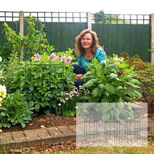 DoCred 3 Pack Plant Support Cage Large Peony Cages and Supports Peony Cage Obelisk Trellis for Climbing Plants Tomato Cages Plant Supports for Outdoor Plants Garden Decor, Green
