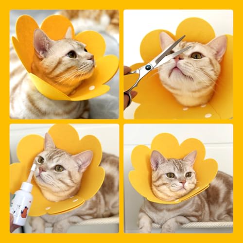 JEYORZY Halskrause Katze, Verstellbar Leichtgewicht Schutzkragen, Weich Schutzhalsband Kegelhalsbänder Genesungshalsband, Haustier Elisabethanischer für Katzen kleine Hunde(S)