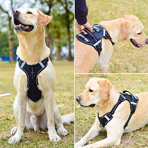 LOCYFENS Dog Harness, No Pull Dog Harness with Soft Handle and 2 Leash Clips, Service Dog Harness with 4 Different… - Image 4